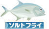 【記事】海・汽水